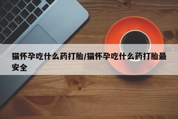 流产药专卖微信猫怀孕吃什么药打胎/猫怀孕吃什么药打胎最安全