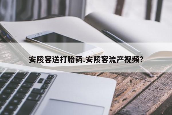 流产药专卖微信安陵容送打胎药.安陵容流产视频？