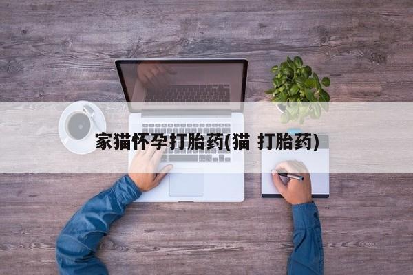 流产药专卖微信家猫怀孕打胎药(猫 打胎药)